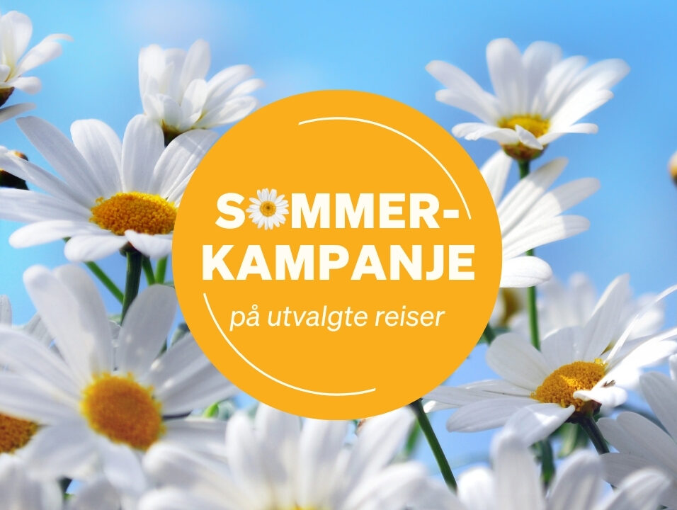 Sommerkampanje