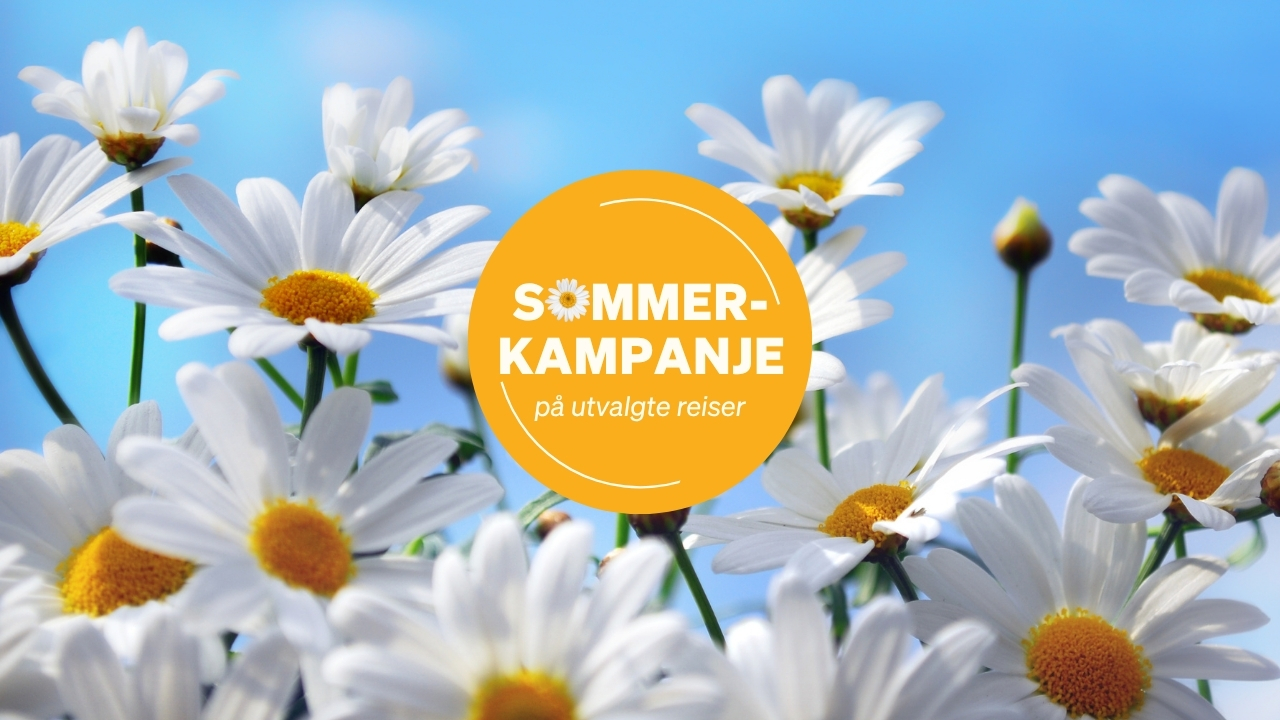 Sommerkampanje