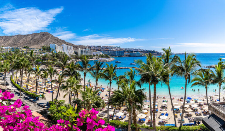 Gran Canaria_AdobeStock_311230915
